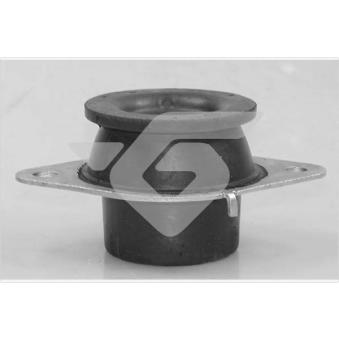 Suspension, boîte de vitesse manuelle HUTCHINSON