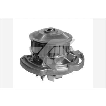 Pompe à eau HUTCHINSON WP179