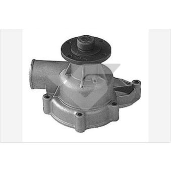Pompe à eau HUTCHINSON WP234