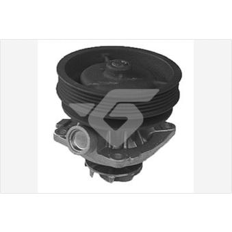 Pompe à eau HUTCHINSON WP273