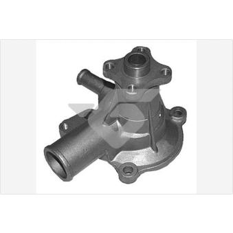 Pompe à eau HUTCHINSON WP313