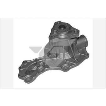 Pompe à eau HUTCHINSON WP315