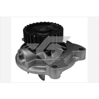 Pompe à eau HUTCHINSON WP325