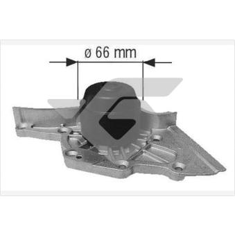 Pompe à eau HUTCHINSON WP350