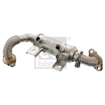 Radiateur, réaspiration des gaz d'échappement FEBI BILSTEIN 102617