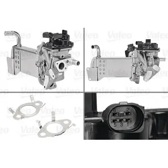 Module-EGR VALEO