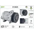 Compresseur, climatisation VALEO 813825 - Visuel 1