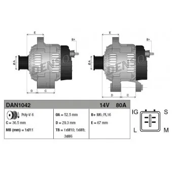 Alternateur DENSO DAN1042