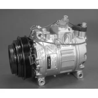 Compresseur, climatisation DENSO DCP02047