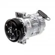 Compresseur, climatisation DENSO DCP13010 - Visuel 1