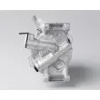 Compresseur, climatisation DENSO DCP50250 - Visuel 3