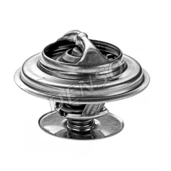 Thermostat d'eau DENSO DTM79248