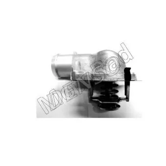 Thermostat d'eau DENSO DTM87629