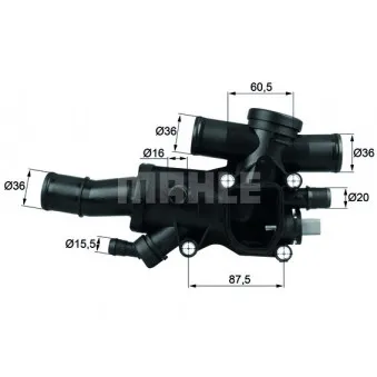 Thermostat d'eau BEHR TH 44 83
