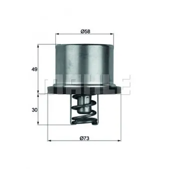 Thermostat d'eau BEHR THD 1 82