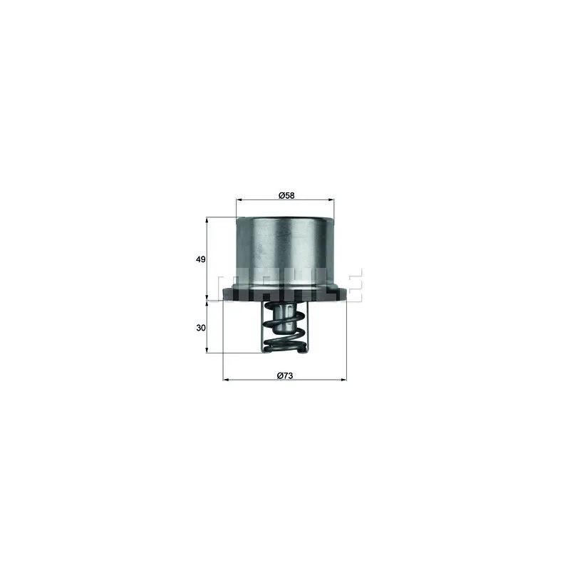 Thermostat d'eau BEHR THD 1 82