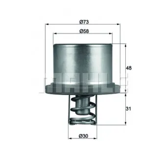 Thermostat d'eau BEHR THD 2 89