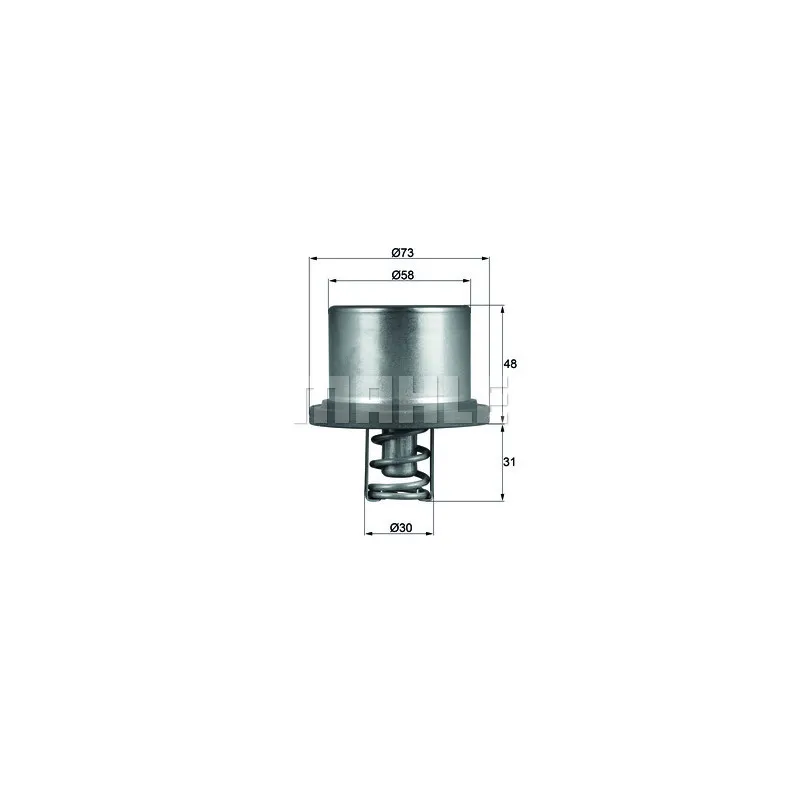 Thermostat d'eau BEHR THD 2 89