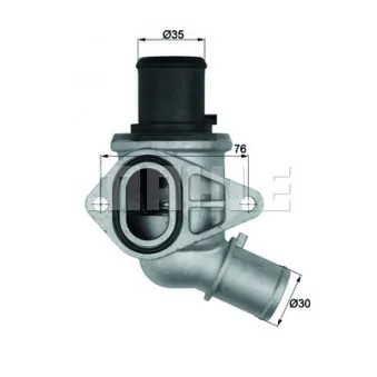 Thermostat d'eau BEHR TI 116 70