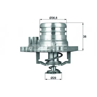 Thermostat d'eau BEHR TI 13 92