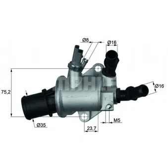 Thermostat d'eau BEHR TI 143 88