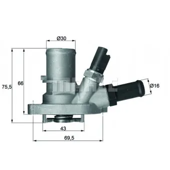 Thermostat d'eau BEHR TI 149 88