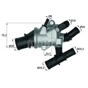 Thermostat d'eau BEHR TI 162 88