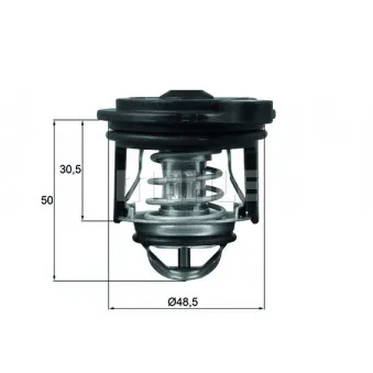 Thermostat d'eau BEHR TI 246 50