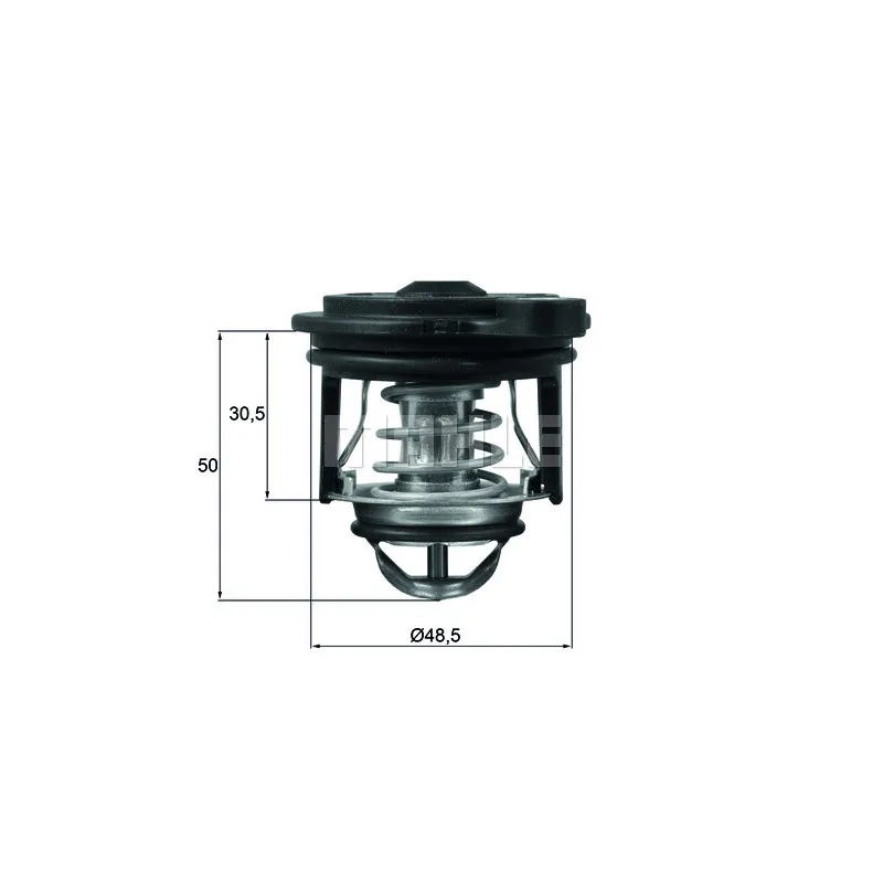 Thermostat d'eau BEHR TI 246 50