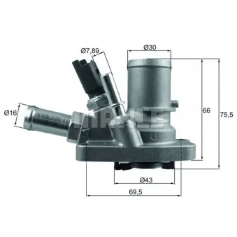 Thermostat d'eau BEHR TI 258 80