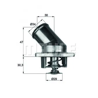 Thermostat d'eau BEHR