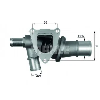 Thermostat d'eau BEHR TI 79 87D