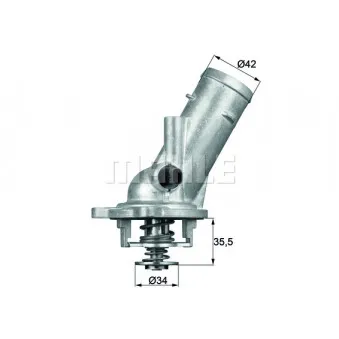 Thermostat d'eau BEHR TM 10 87