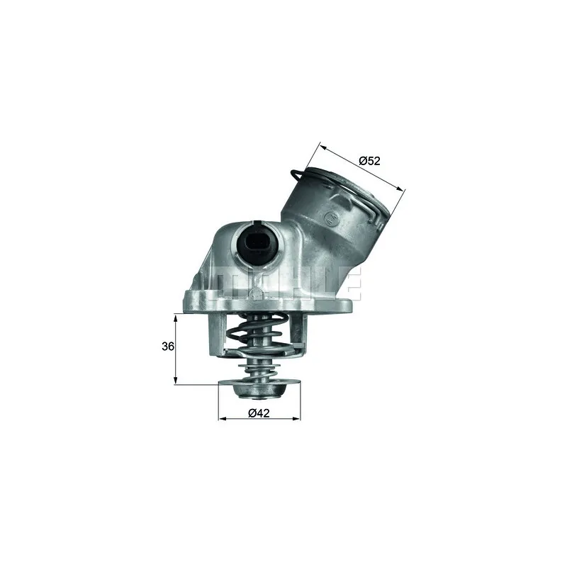 Thermostat d'eau BEHR TM 29 100D