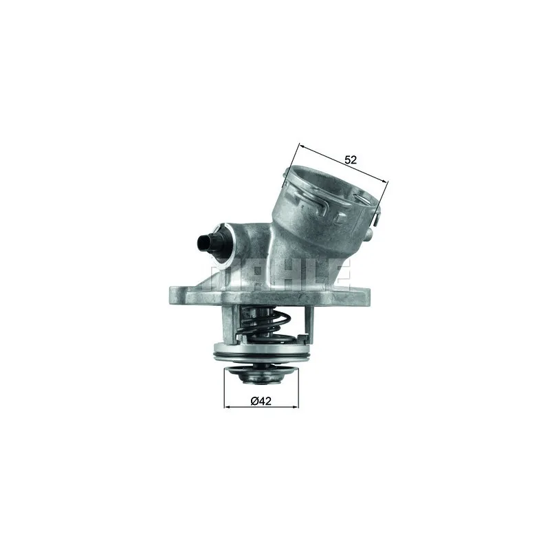 Thermostat d'eau BEHR TM 45 100D