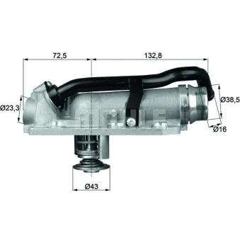 Thermostat d'eau BEHR TM 8 105