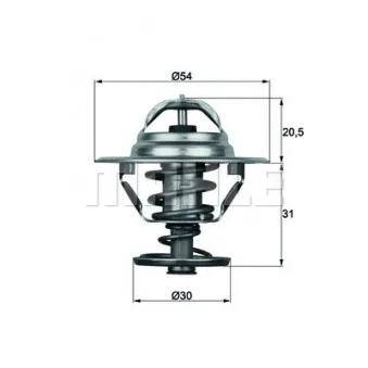 Thermostat d'eau BEHR TX 10 66D