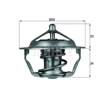 Thermostat d'eau BEHR TX 101 83D