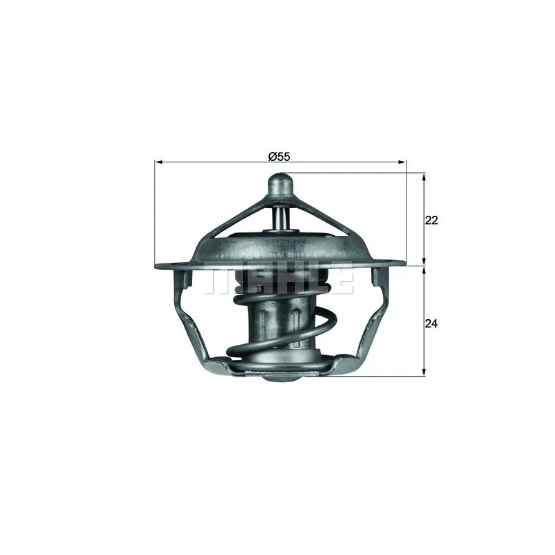 Thermostat d'eau BEHR TX 101 83D