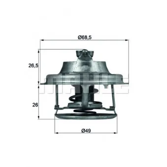 Thermostat d'eau BEHR TX 102 82D