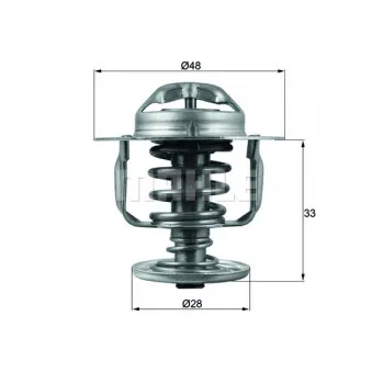 Thermostat d'eau BEHR TX 110 82D