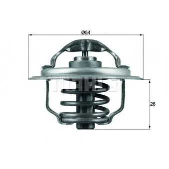 Thermostat d'eau BEHR TX 111 87D