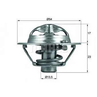 Thermostat d'eau BEHR TX 118 82D