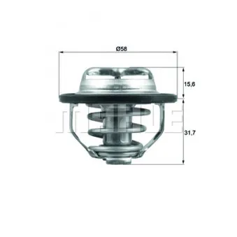 Thermostat d'eau BEHR TX 122 82