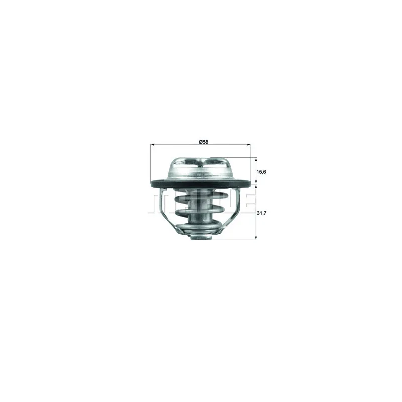 Thermostat d'eau BEHR TX 122 82