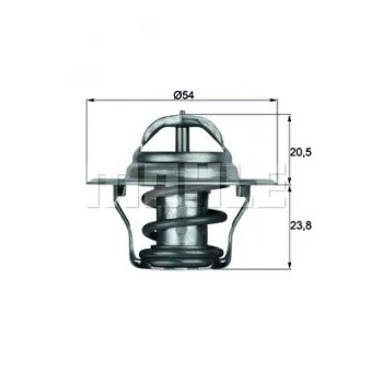 Thermostat d'eau BEHR TX 14 80D