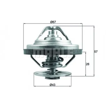 Thermostat d'eau BEHR TX 158 79