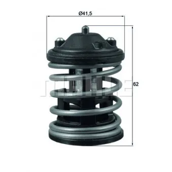 Thermostat d'eau BEHR TX 163 87D2