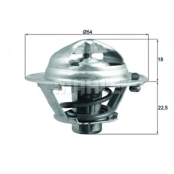 Thermostat d'eau BEHR TX 166 85D
