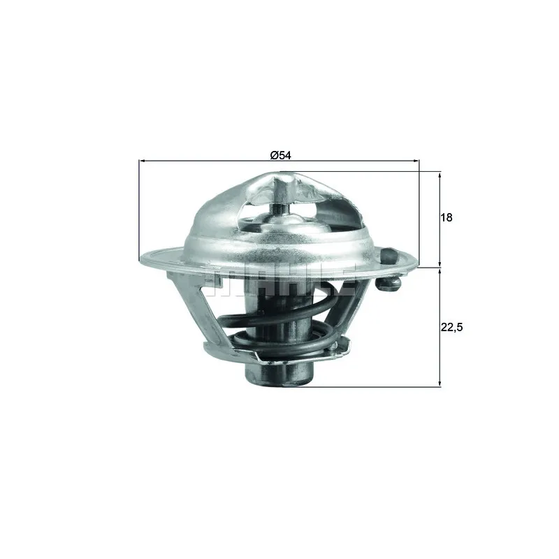 Thermostat d'eau BEHR TX 166 85D
